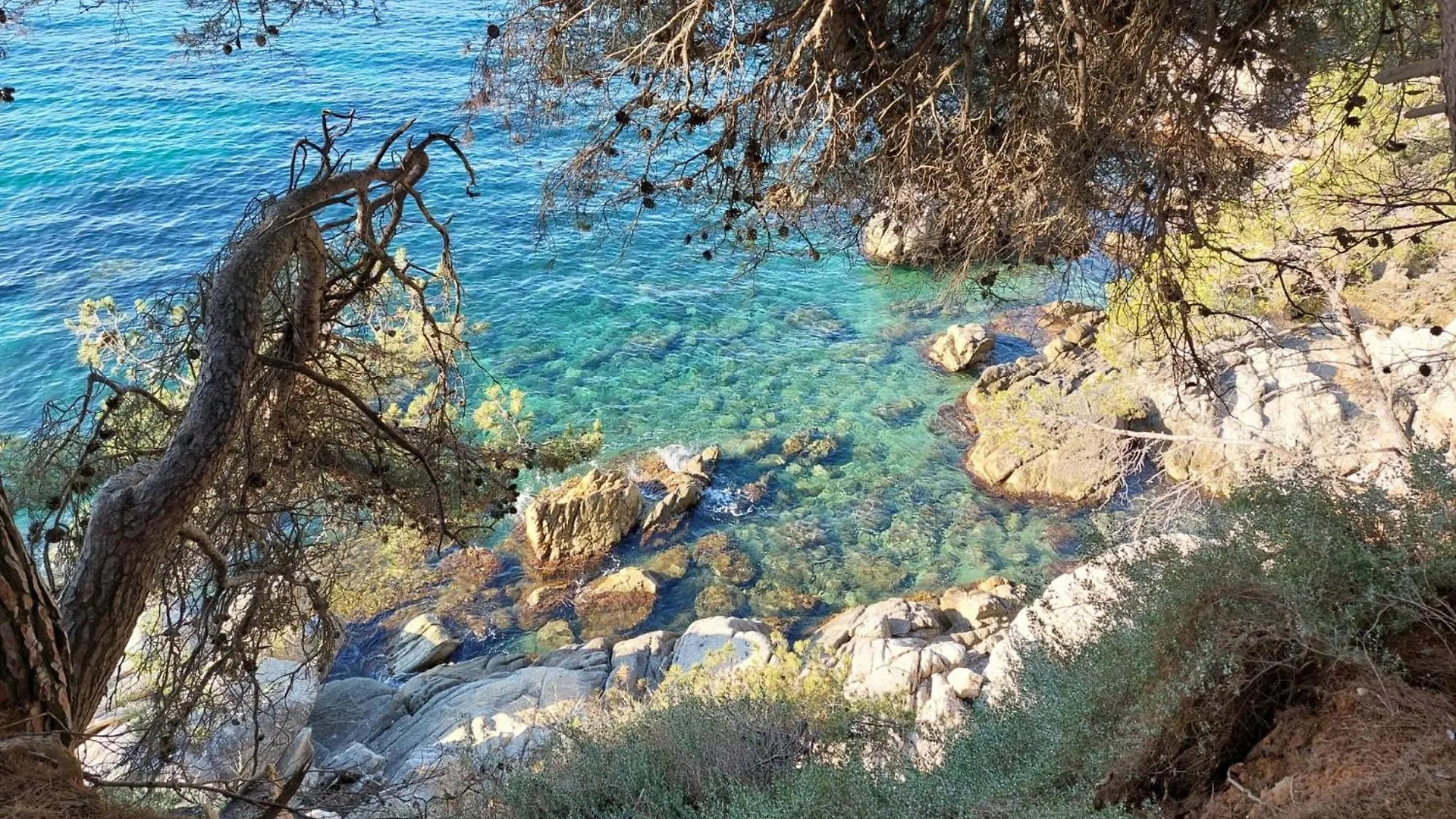 Bravaholidays-602-Lloret Park 2 Vidreres Spain